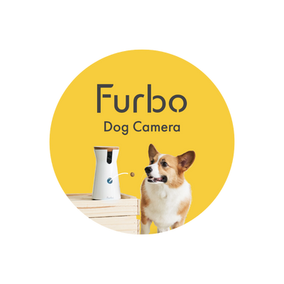 Stay Connected To Your Pet While You're Out with Furbo Dog Camera - A lifesaver for Erica and her long-haired mini dachshunds!