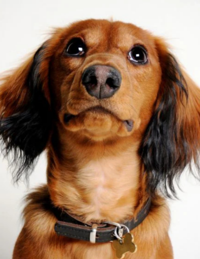 Personal grounding moment symbolizing stability and values-centered leadership within the Paid For Your Presence® philosophy.